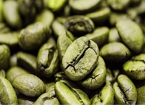 دان سبز عربیکا کنیا