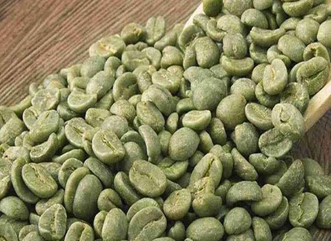 دان سبز عربیکا اتیوپی دیجی ما