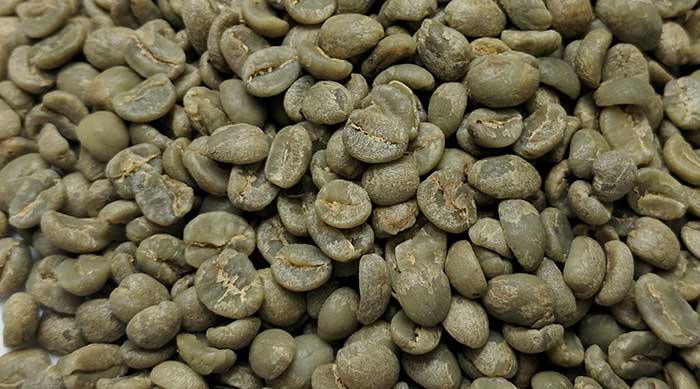 دان سبز عربیکا کلمبیا سوپریمو