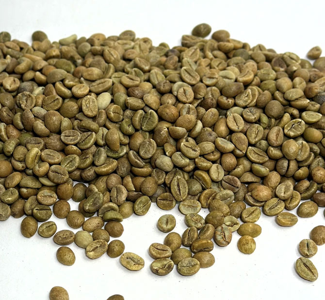 دان سبز ربوستا چری AA