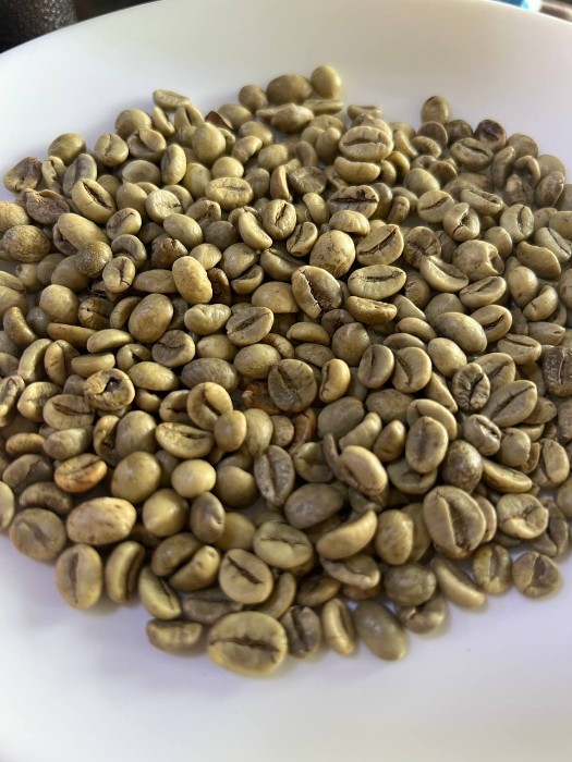 دان سبز عربیکا برزیل سانتوس