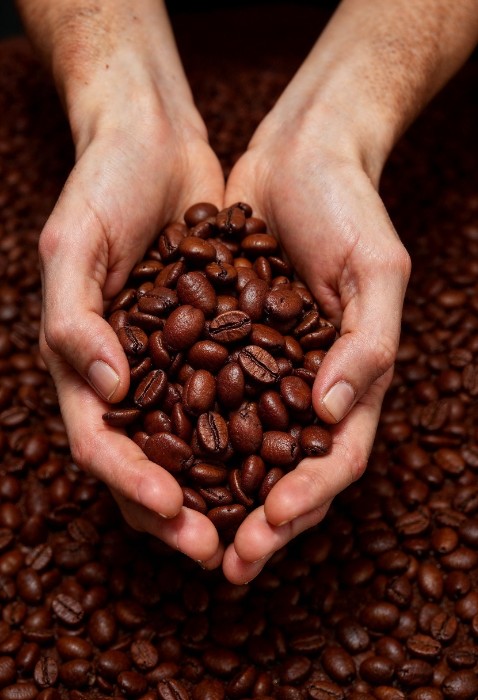 دانه قهوه عربیکا رست شده کلمبیا سوپریمو